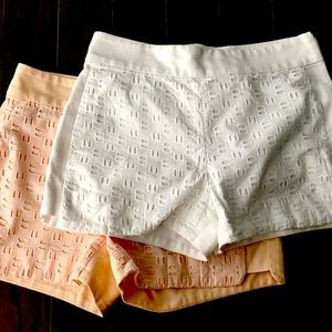 J.Crew Factory Eyelet Basket Weave White Shorts 00